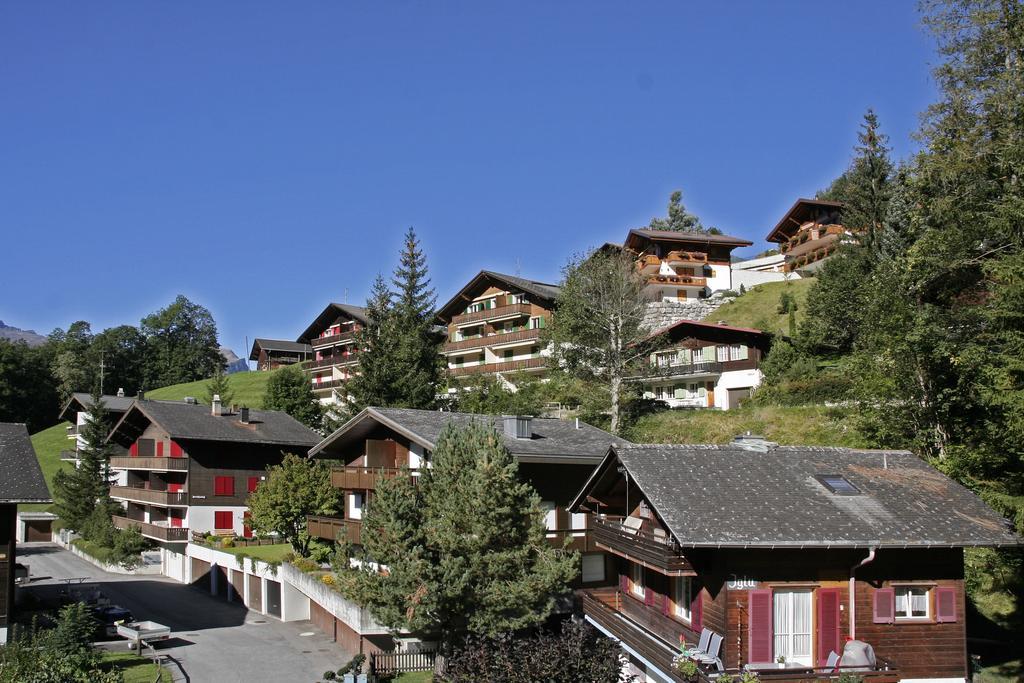 Chalet Zur Hoehe Apartment Grindelwald Cameră foto